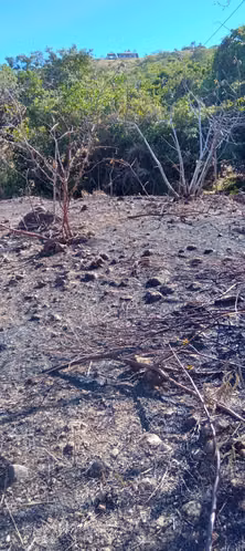 Venta de Lote en San Carlos cerca de El Nancito - Imagen 10