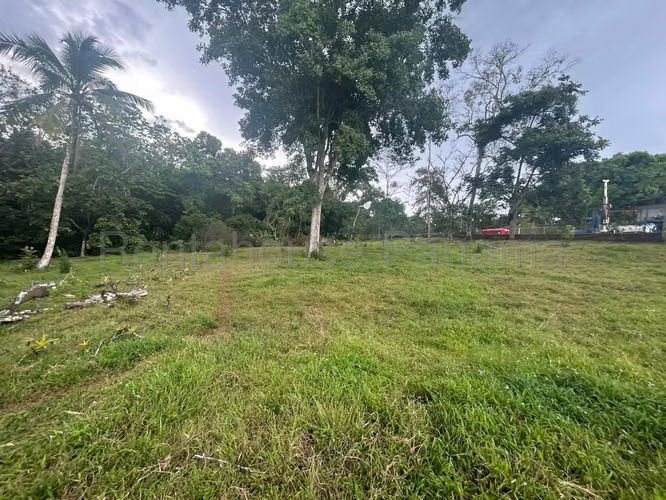 Se Vende Terreno en Vista Alegre DPA27-40 - Imagen 6