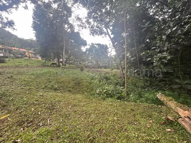 Se Vende Terreno en Vista Alegre DPA27-40 - Imagen 4