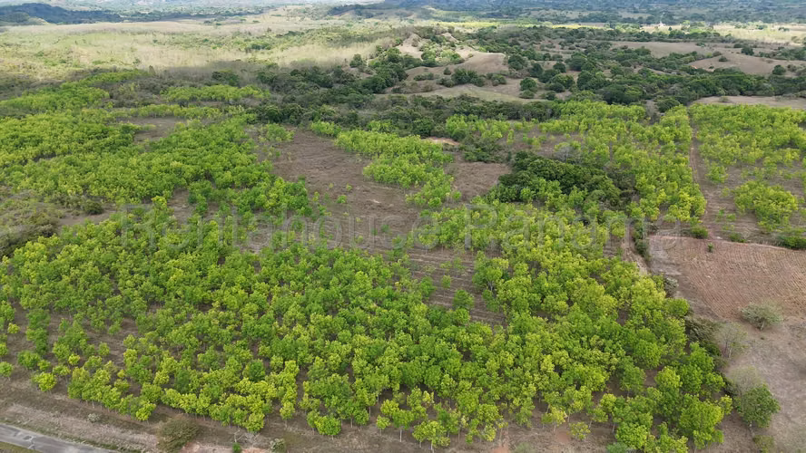Se Vende Terreno en Santiago DPA27-955 - Imagen 3