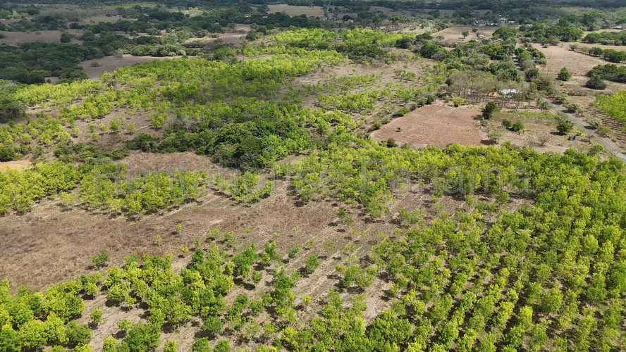 Se Vende Terreno en Santiago DPA27-955 - Imagen 10