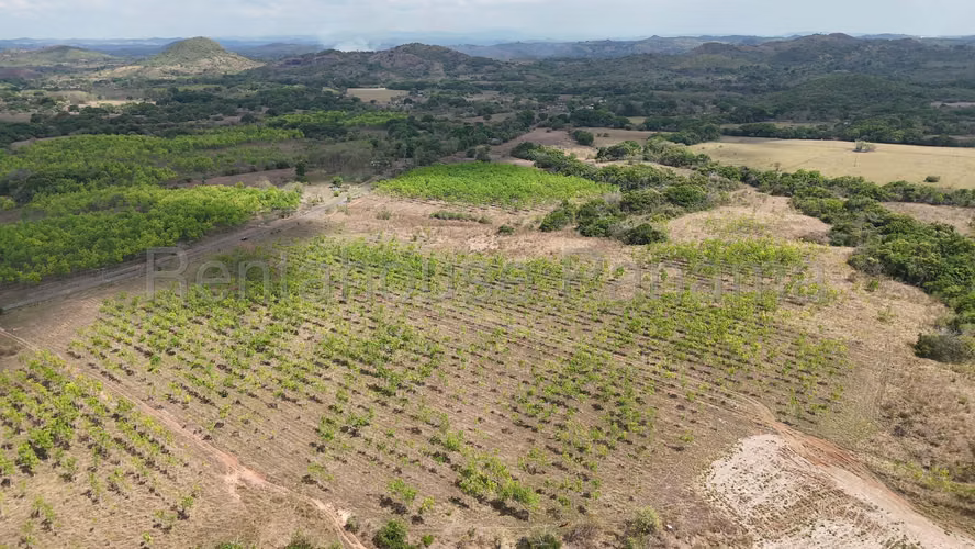 Se Vende Terreno en Santiago DPA27-954 - Imagen 10