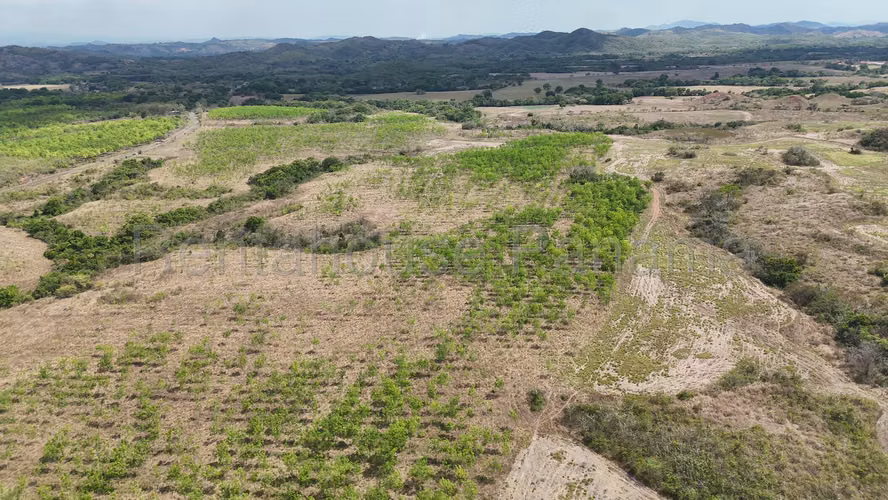 Se Vende Terreno en Santiago DPA27-954 - Imagen 4