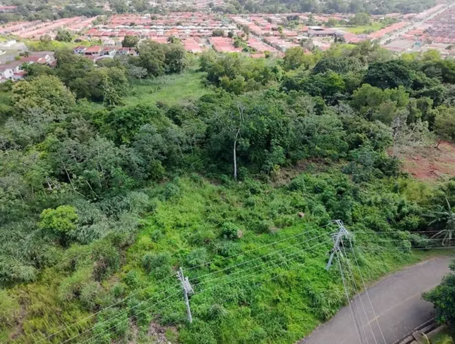 Venta de Terreno en Chorrera - Imagen 2