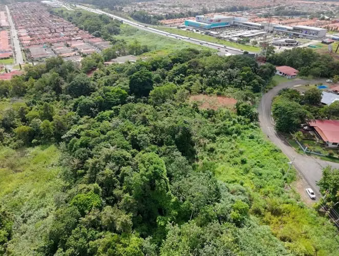 Venta de Terreno en Chorrera - Imagen 9