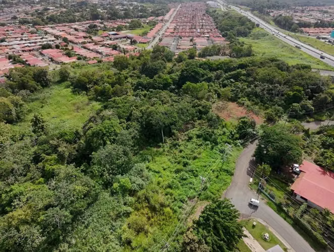 Venta de Terreno en Chorrera - Imagen 7