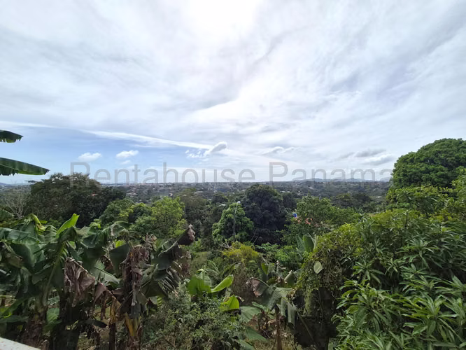 VENTA DE NEGOCIO EN CHORRERA DDB25-6244 - Imagen 14