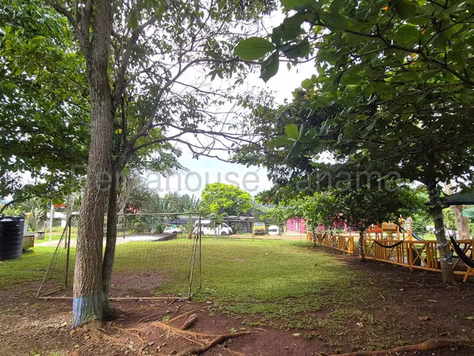 VENTA DE NEGOCIO EN CHORRERA DDB25-6244 - Imagen 17