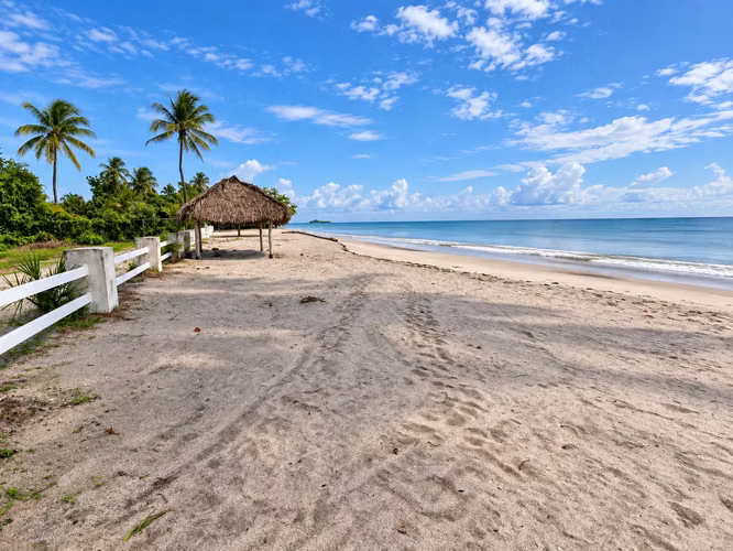 Venta de Terreno Frente al Mar en Playa Blanca, Río Hato, 5,320 m² - Imagen 10