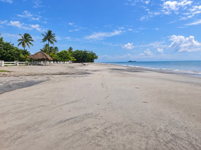 Venta de Terreno Frente al Mar en Playa Blanca, Río Hato, 5,320 m² - Imagen 3