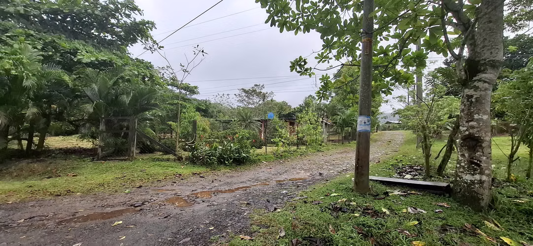 VENTA LOTE TERRENO 1HECT RUTA OLLAS ARRIBA CAPIRA - Imagen 9