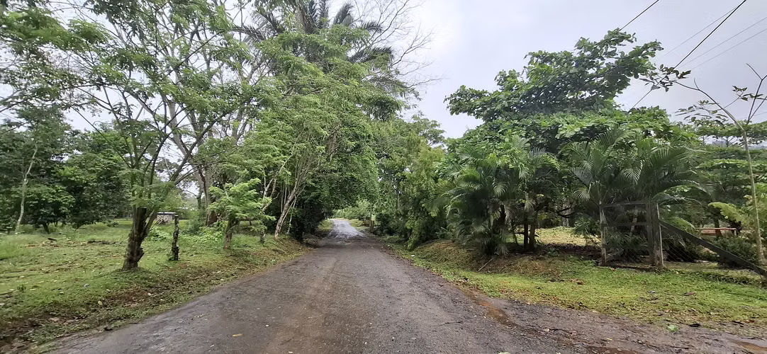 VENTA LOTE TERRENO 1HECT RUTA OLLAS ARRIBA CAPIRA - Imagen 10
