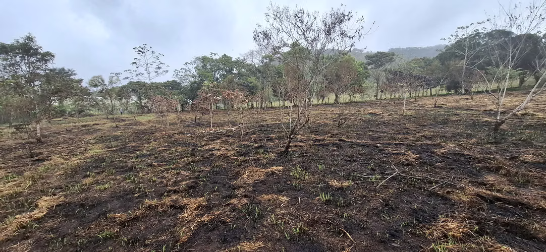 VENTA LOTE TERRENO 1HECT RUTA OLLAS ARRIBA CAPIRA - Imagen 2