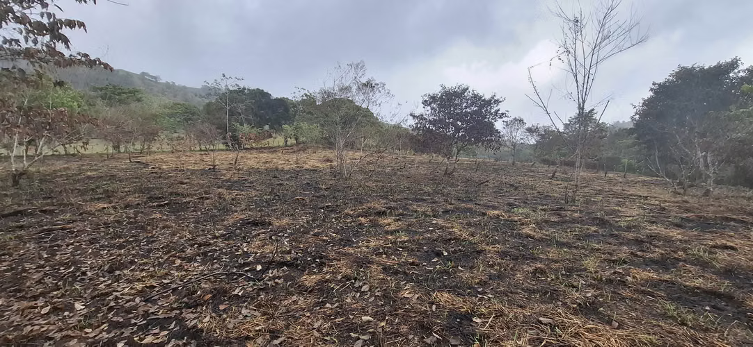 VENTA LOTE TERRENO 1HECT RUTA OLLAS ARRIBA CAPIRA - Imagen 4