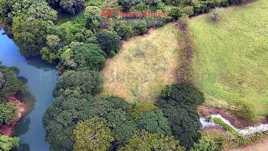 VENTA DE TERRENO EN FINCA AGROINDUSTRIAL CHITRÉ HQ - Imagen 6