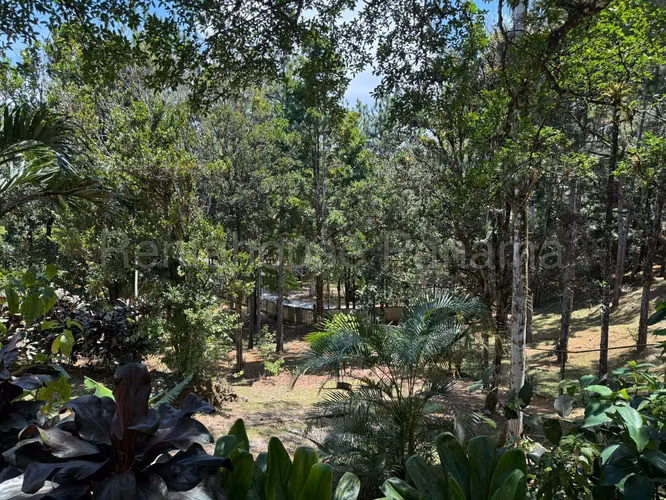 Vendo Casa en Cerro Azul LC26-6415