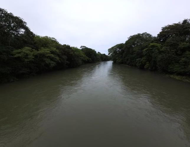 $4,465,000 SE VENDEN 470 HECTAREAS EN SAN LORENZO PROVINCIA DE CHIRIQUI - Imagen 11