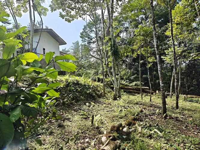 VENTA DE TERRENOS –LAS.NUBES CERRO AZUL LAS NUBES