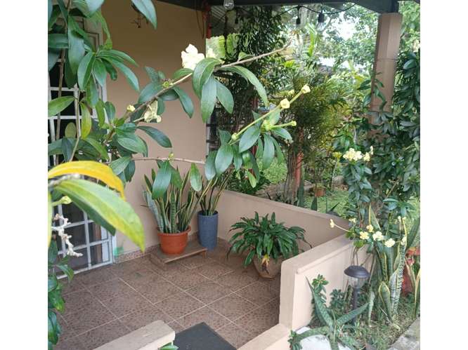 CHORRERA / 3 HABITACIONES / 270 M2 / TERRAZA / PATIO / ZONAS VERDES