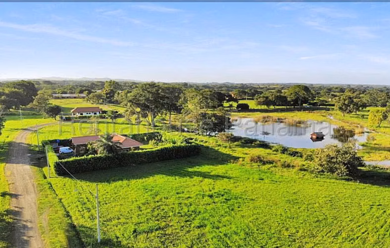 Terreno En Venta En Pedasí YS