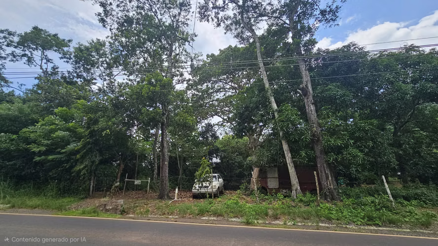 Se vendee 2.4 Hectáreas en Las Mendozas, La Chorrera 