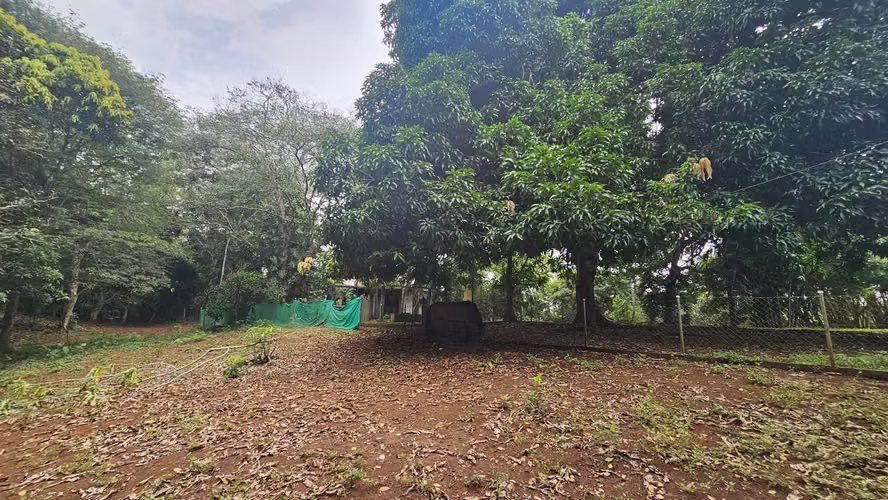 Se vendee 2.4 Hectáreas en Las Mendozas, La Chorrera 