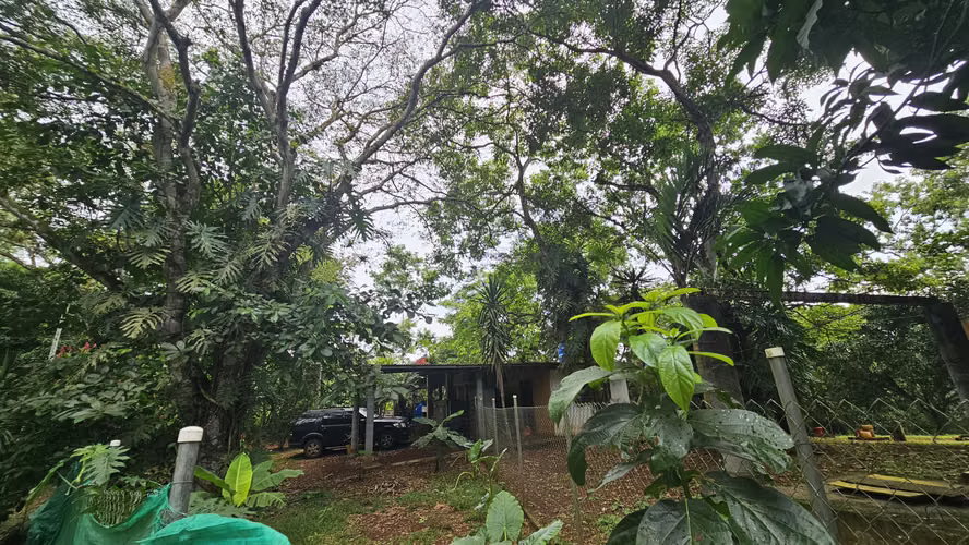 Se vendee 2.4 Hectáreas en Las Mendozas, La Chorrera 