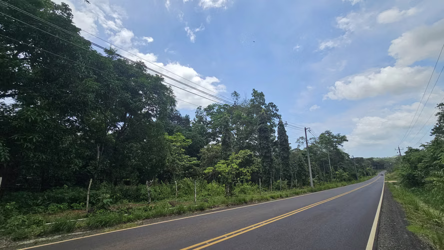 Se vendee 2.4 Hectáreas en Las Mendozas, La Chorrera 