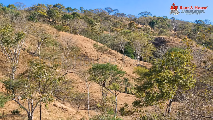 Finca En Venta En Las Tablas YS