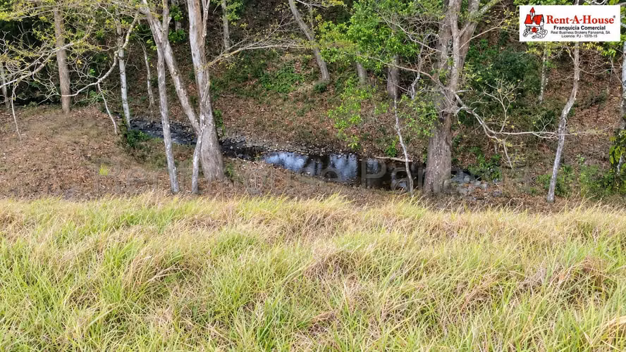 Finca En Venta En Las Tablas YS