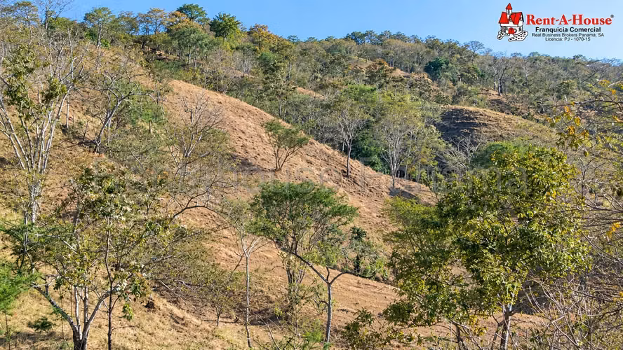Finca En Venta En Las Tablas YS