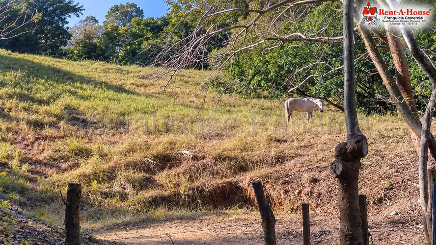 Finca En Venta En Las Tablas YS