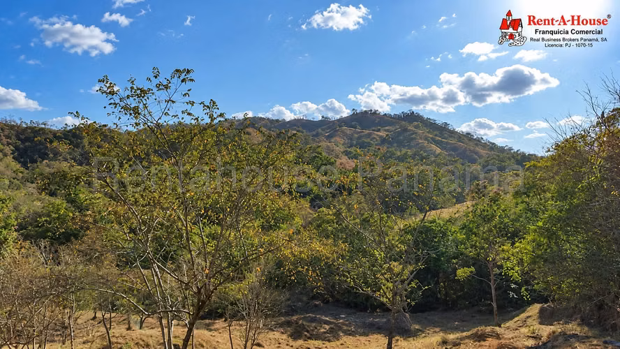 Finca En Venta En Las Tablas YS