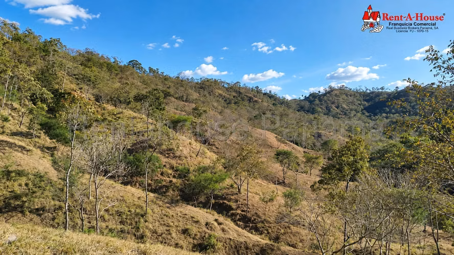 Finca En Venta En Las Tablas YS