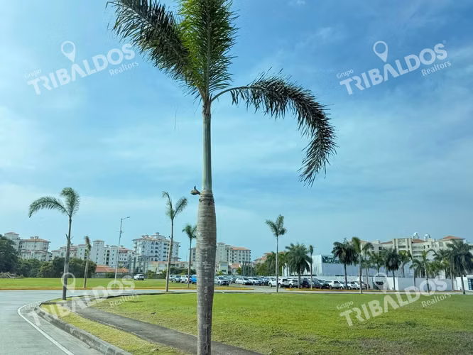 Venta de Terreno en Santa Maria Business District