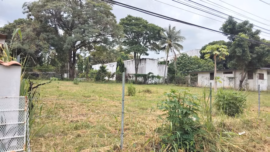 Lote para desarrollar o inversión  detrás de Cochez de Coronado, segunda linea a la Panamericana (zona comercial)  - Imagen 3