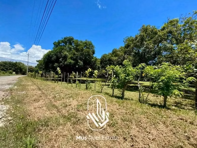 Terreno de Playa en Venta – Río Hato, Antón - RT - Imagen 10