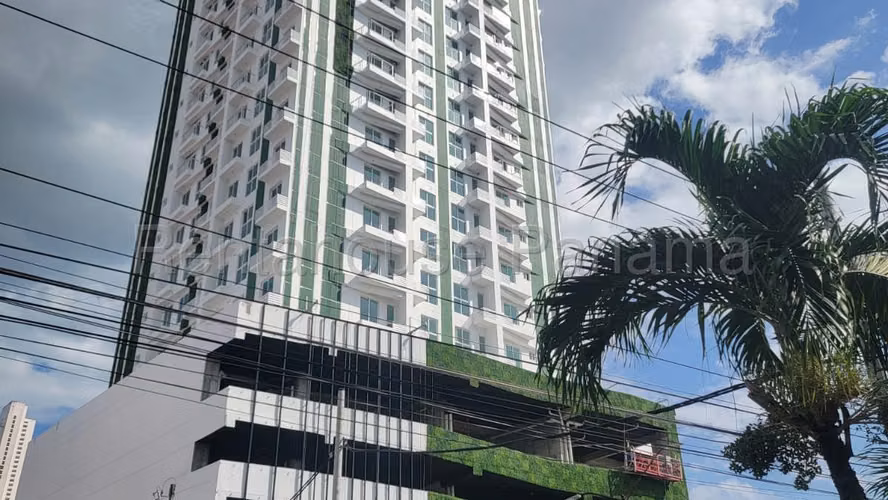 Venta de Apartamento en Bellavista, PH PH EL BOTANICO (Solo Cliente Directo) - Imagen 13