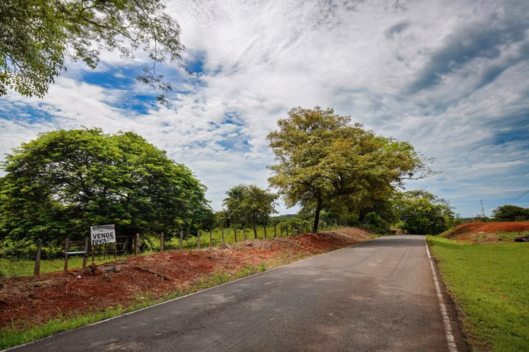 Terreno Agrícola Cerca de David Panamá - Imagen 8