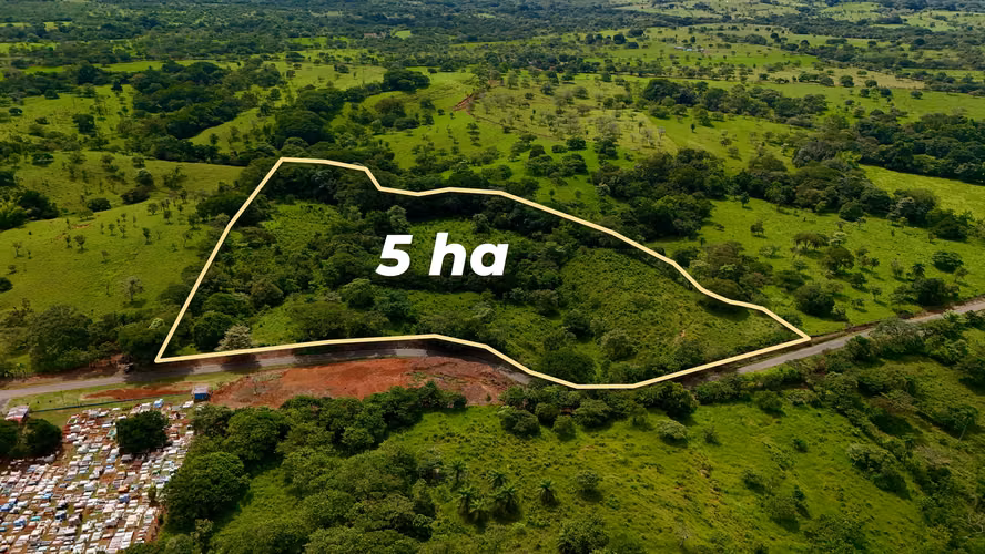 Terreno Agrícola Cerca de David Panamá