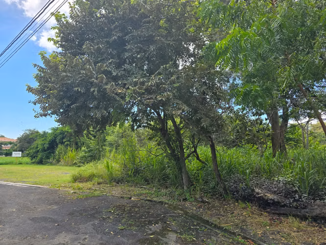 Coronado | Gorgona | Venta de Lote | Condominio - Imagen 7
