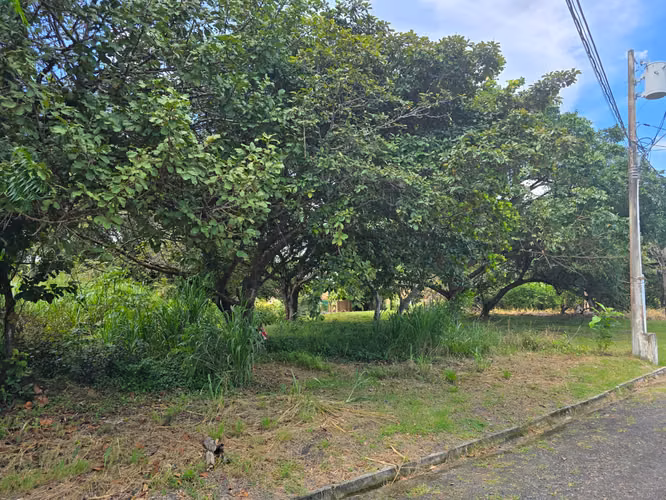 Coronado | Gorgona | Venta de Lote | Condominio - Imagen 3