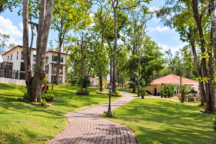 Casa en Alquiler en Senderos Camino de Cruces, Clayton | 4 Recámaras | Sin Muebles