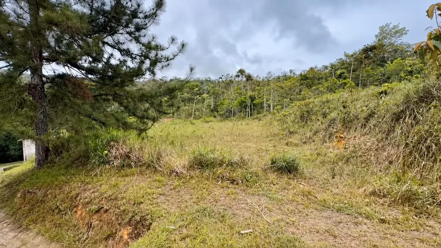 TERRENO EN VENTA – CERRO AZUL - Imagen 10