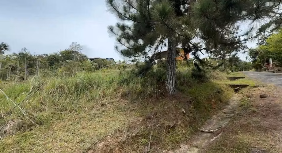 TERRENO EN VENTA – CERRO AZUL - Imagen 15