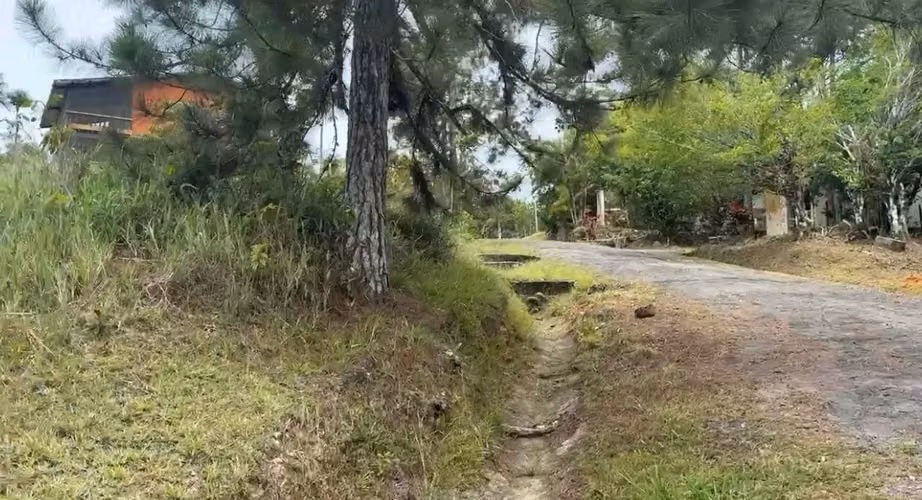 TERRENO EN VENTA – CERRO AZUL - Imagen 8
