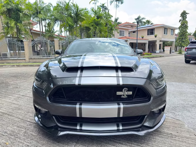 2015 FORD MUSTANG SHELBY SUPER SNAKE - Imagen 2