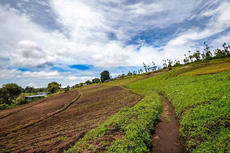 Terreno de Montaña en Boquete Panamá - Imagen 7