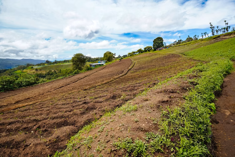Terreno de Montaña en Boquete Panamá - Imagen 4
