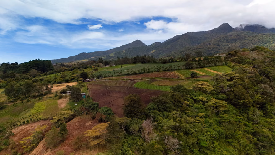 Terreno de Montaña en Boquete Panamá - Imagen 3
